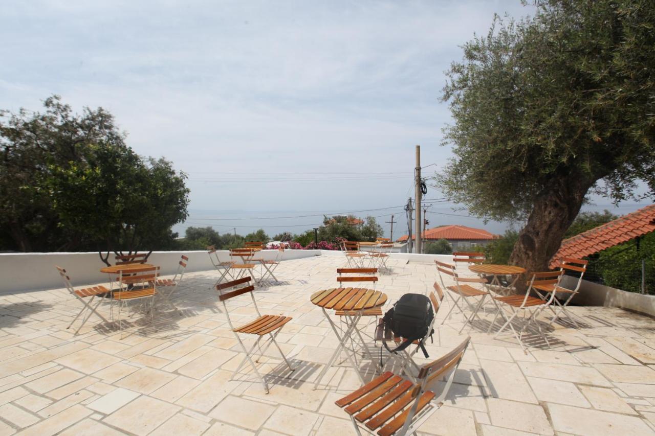 White Hotel Borş Dış mekan fotoğraf