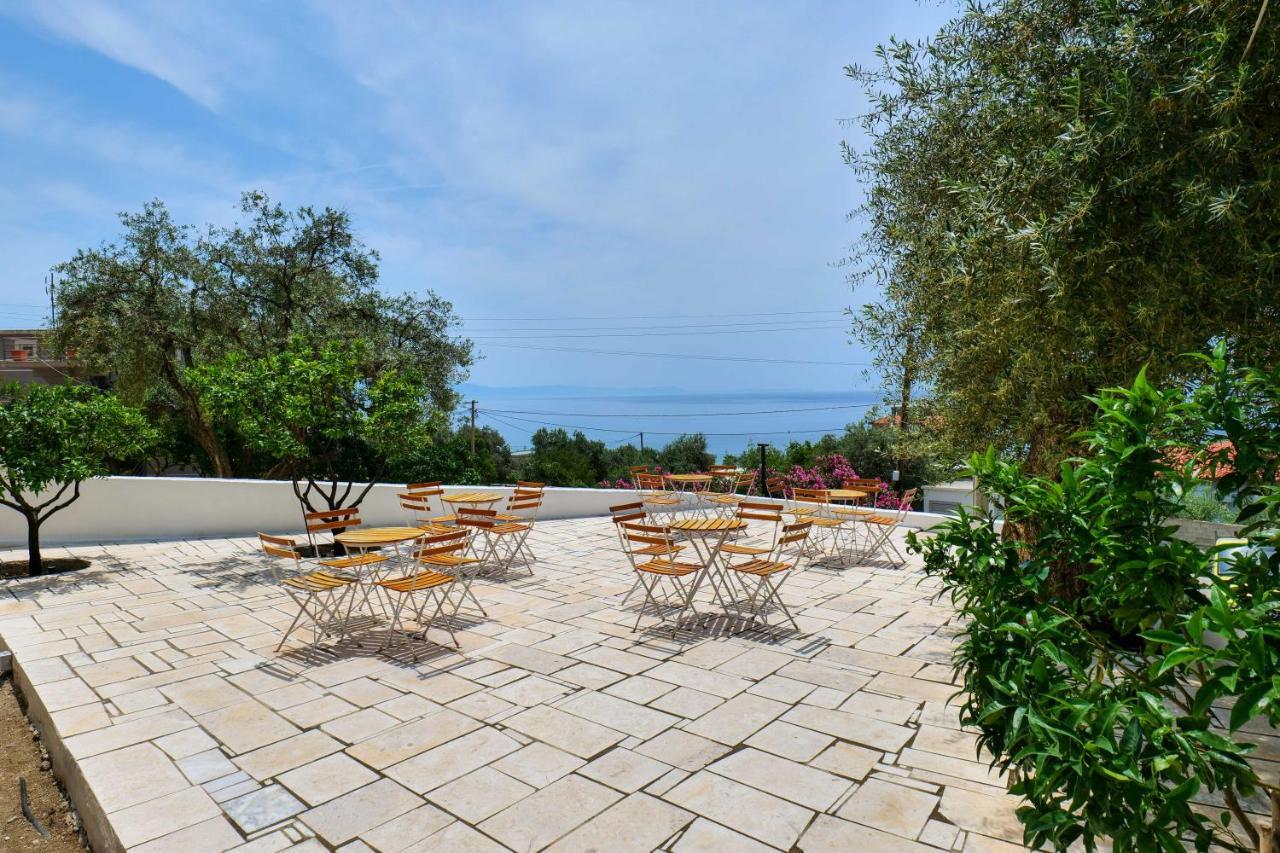 White Hotel Borş Dış mekan fotoğraf